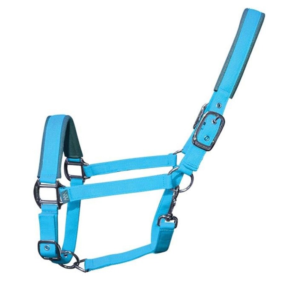 image 1 of Woof Wear Contour Head Collar Blue | Size: Cob
Colour: Shiraz/Navy