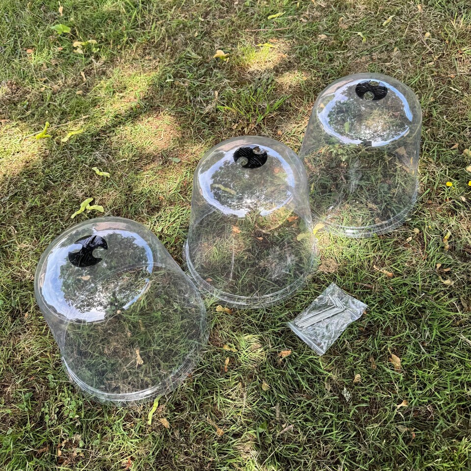image 1 of Large Plastic Plant Protection Bell Cloche Covers with Ground Pegs - Pack of 6