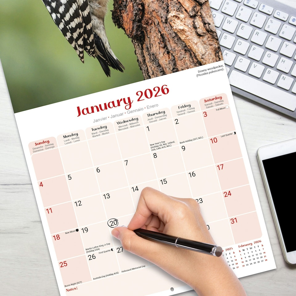 image 1 of Garden Birds 2026 Calendar | Square Wall Calendar | Bird Gift | Plastic Free Packaging | by Avonside Publishing