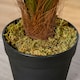 image 9 of Outsunny 60cm/2FT Artificial Palm Tree Fake Plant in Pot Indoor Décor