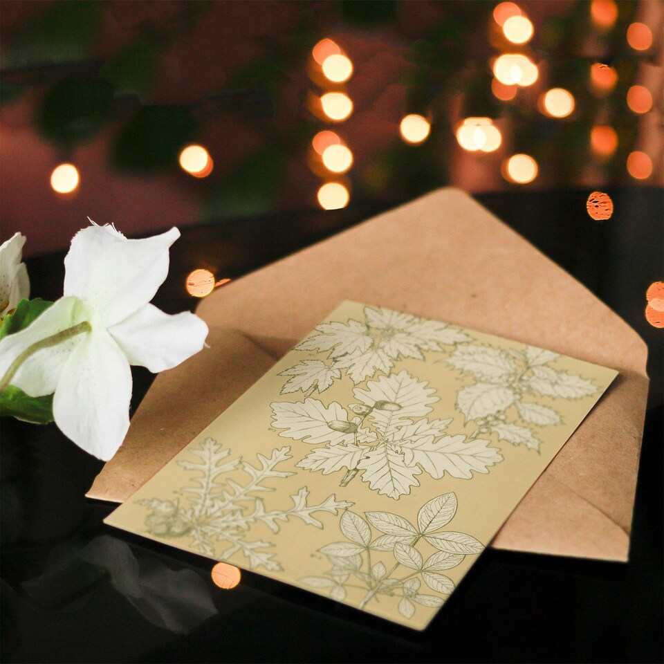 image 1 of Owen Jones Art Card Oak Leaves and Acorns Vintage Botanical