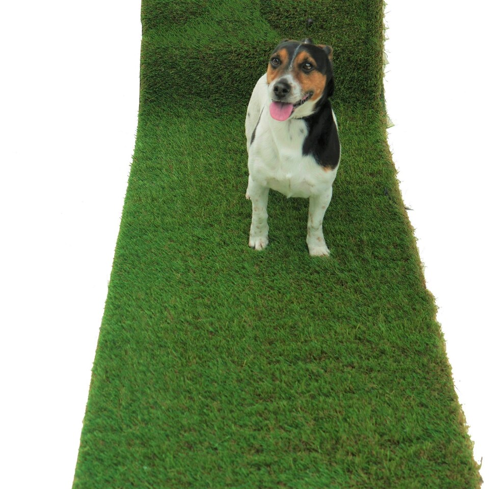 image 1 of Emerald 40mm Artificial Grass, Premium Quality Artificial Grass, 8 Years Warranty, Realistic Fake Grass, Plush Artificial Grass Green | 4m(13'1") X 2m(6'6")-8m²