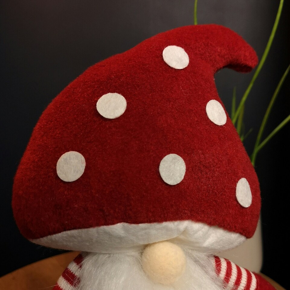 image 1 of 53cm Stripey Red Plush Sitting Christmas Boy Gonk with Dangly Legs and Mushroom Hat