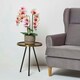 image 7 of Homescapes Pink Orchid 64 cm Phalaenopsis in Cement Pot Extra Large, 3 Stems