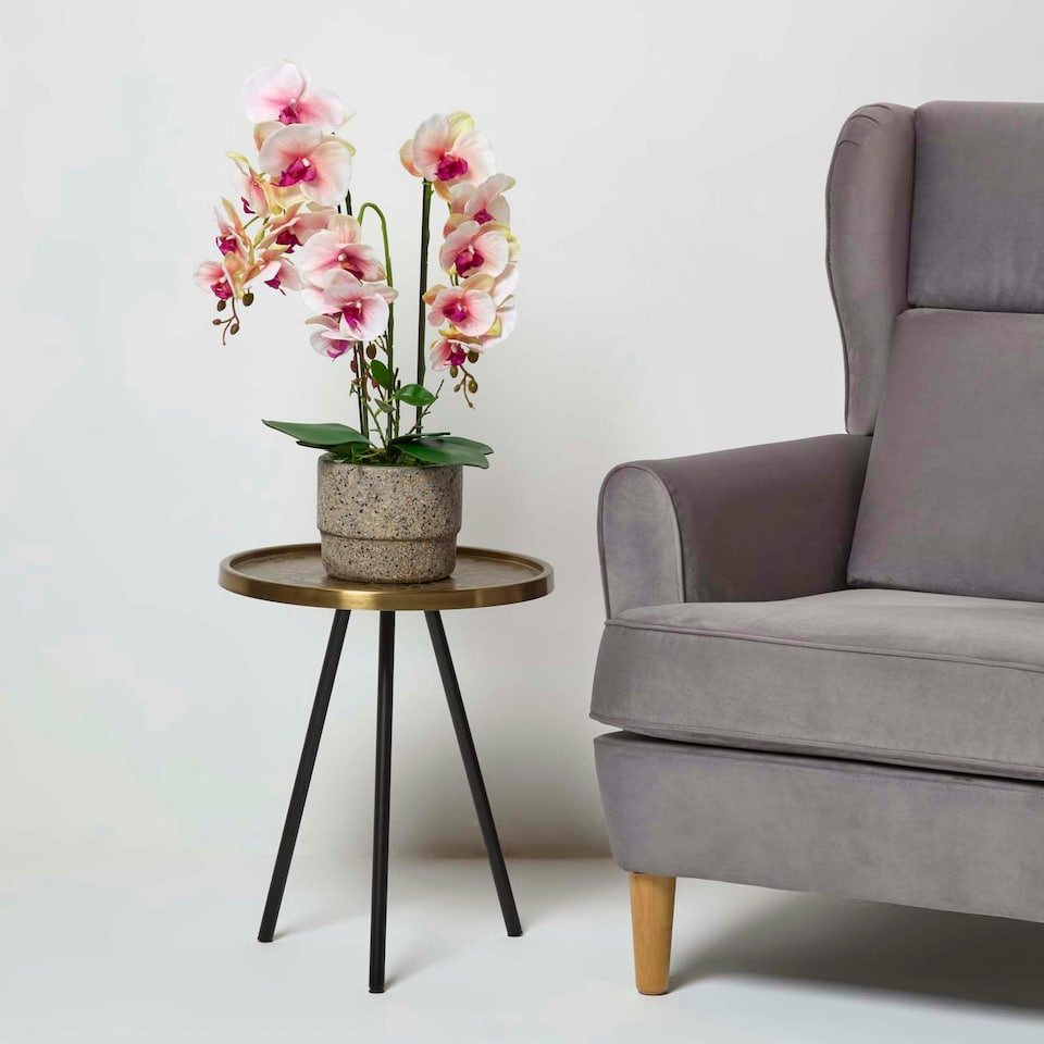 image 1 of Homescapes Pink Orchid 64 cm Phalaenopsis in Cement Pot Extra Large, 3 Stems
