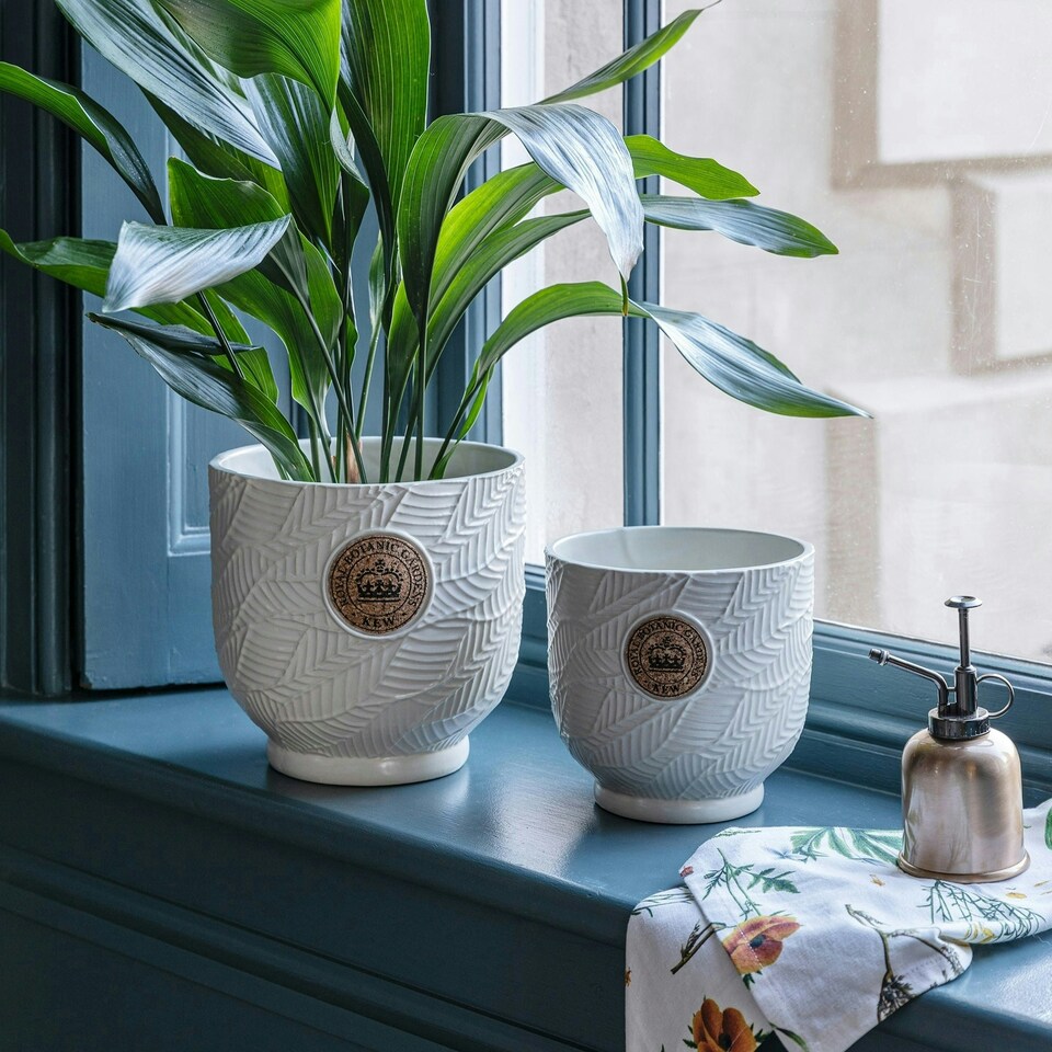 image 1 of Kew Leaf Embossed Cork Planter Black