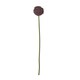 image 1 of Hill Interiors Allium Stem Artificial Plant - Purple - 75cm