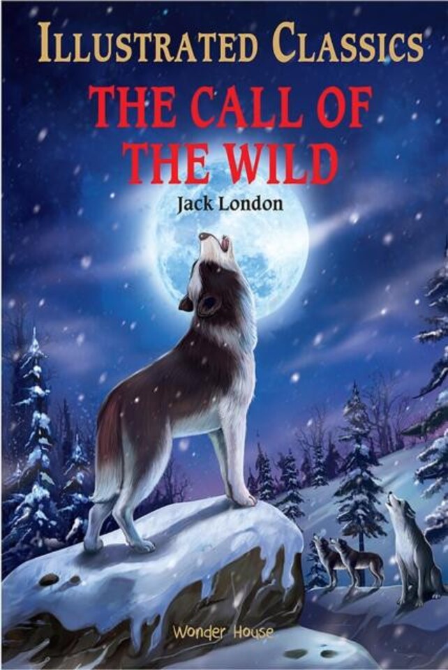 The Call of the Wild : Illustrated Children Classics Hardback Book