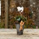 image 3 of Full Colour Gingerbread Man Pot Buddy - L11 x W6.5 x H3 cm