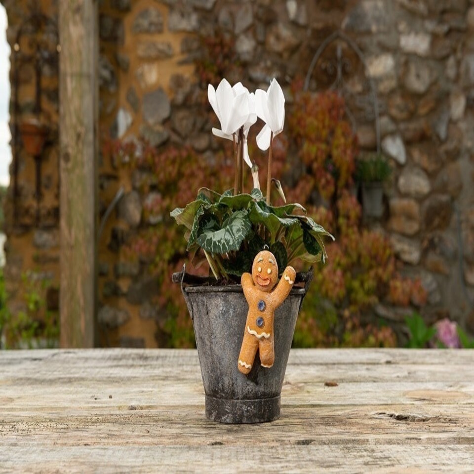 image 1 of Full Colour Gingerbread Man Pot Buddy - L11 x W6.5 x H3 cm