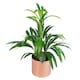 image 5 of 65cm Leaf Design UK Realistic Large Artificial Foliage Plant with Pot | Green | 2ft