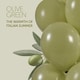 image 4 of Olive Green Bio Latex Balloons 33cm / 13 in - Pack of 10