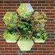 image 2 of Primrose Set of 4 Small Hexagonal Silver Outdoor Mirrors 11in