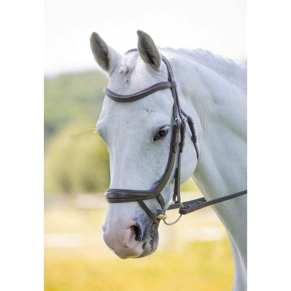 image 1 of Velociti Ergonomic Leather Curved Horse Flash Bridle - Havana - X Full