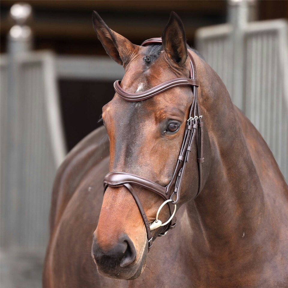image 1 of Shires Velociti Lusso Elite Flash Bridle Black | Size: X-Full
Colour: Black