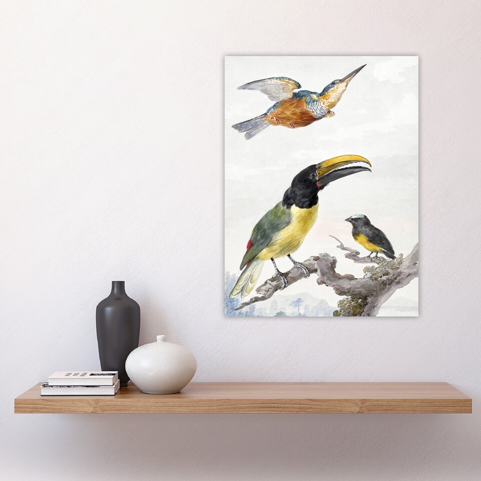 image 1 of Kingfisher Toucan Bird and a Sparrow Schouman Huge Wall Art Print 18X24 In