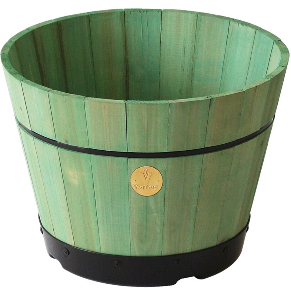 image 1 of Build a Barrel Sage Green Medium | Green