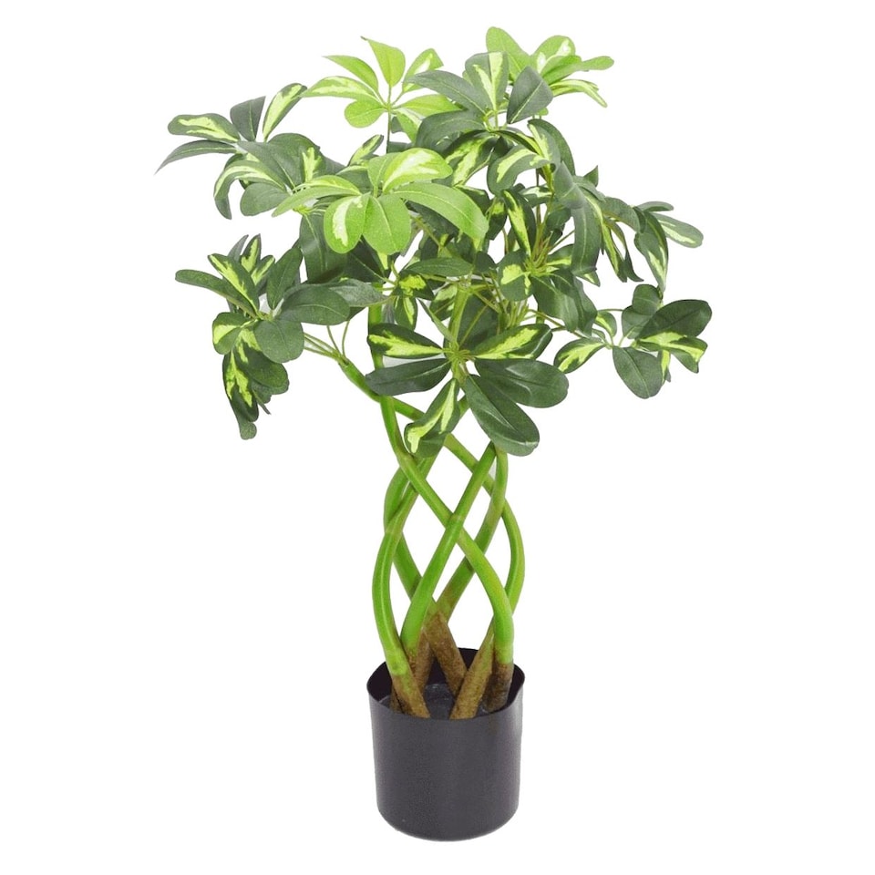 image 1 of 70cm Artificial Twisted Stem Modern Arboricola Artificial Plant Bonsai Bush Botanik