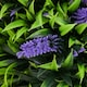 image 9 of HOMCOM Set of 2 Potted Artificial Plants Ball Tree with Lavender Flowers, 70cm