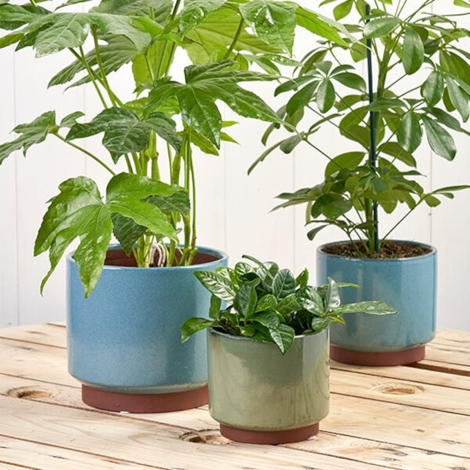 image 1 of Burgon & Ball Malibu Blue Large Glazed Pot