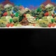 image 2 of Superfish Poster/Background #1 (Coral / Black)