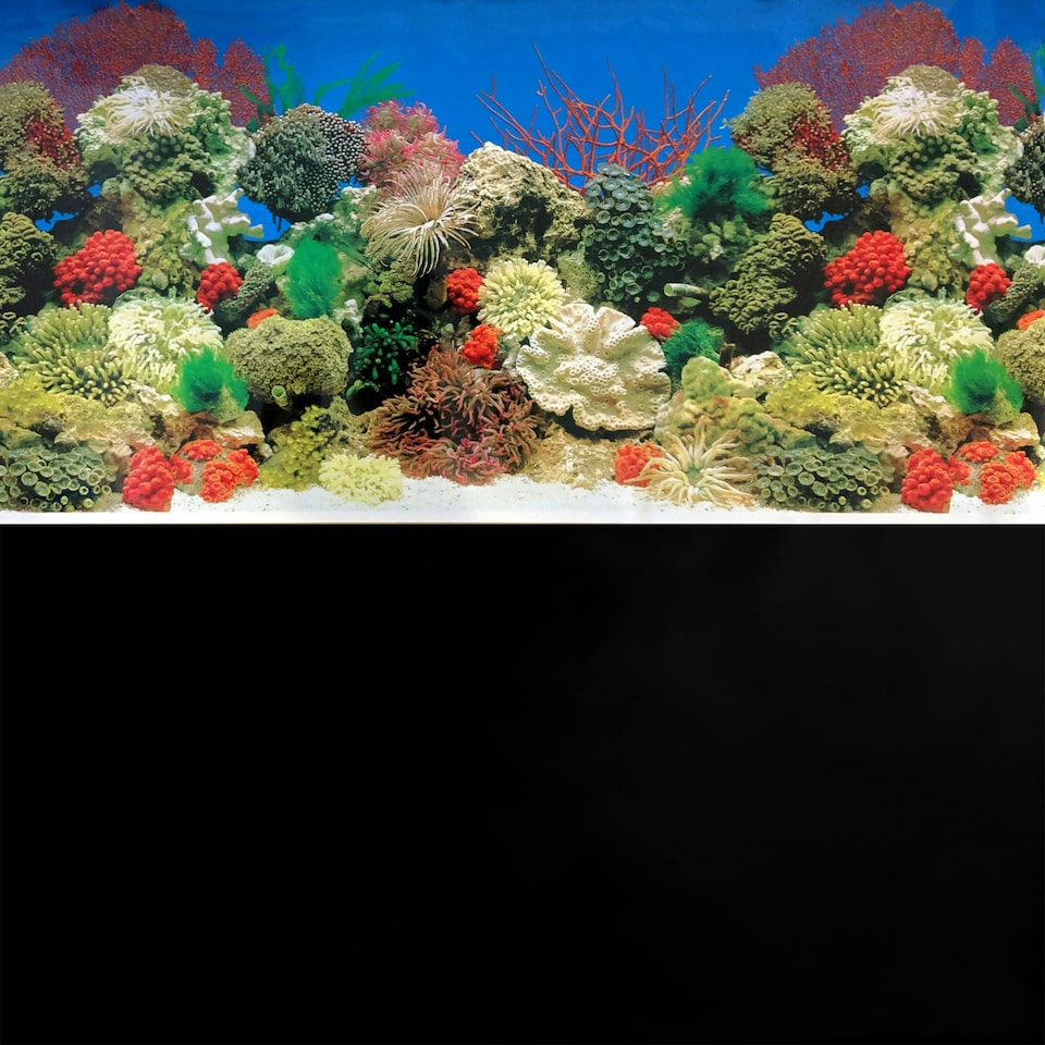 image 1 of Superfish Poster/Background #1 (Coral / Black)