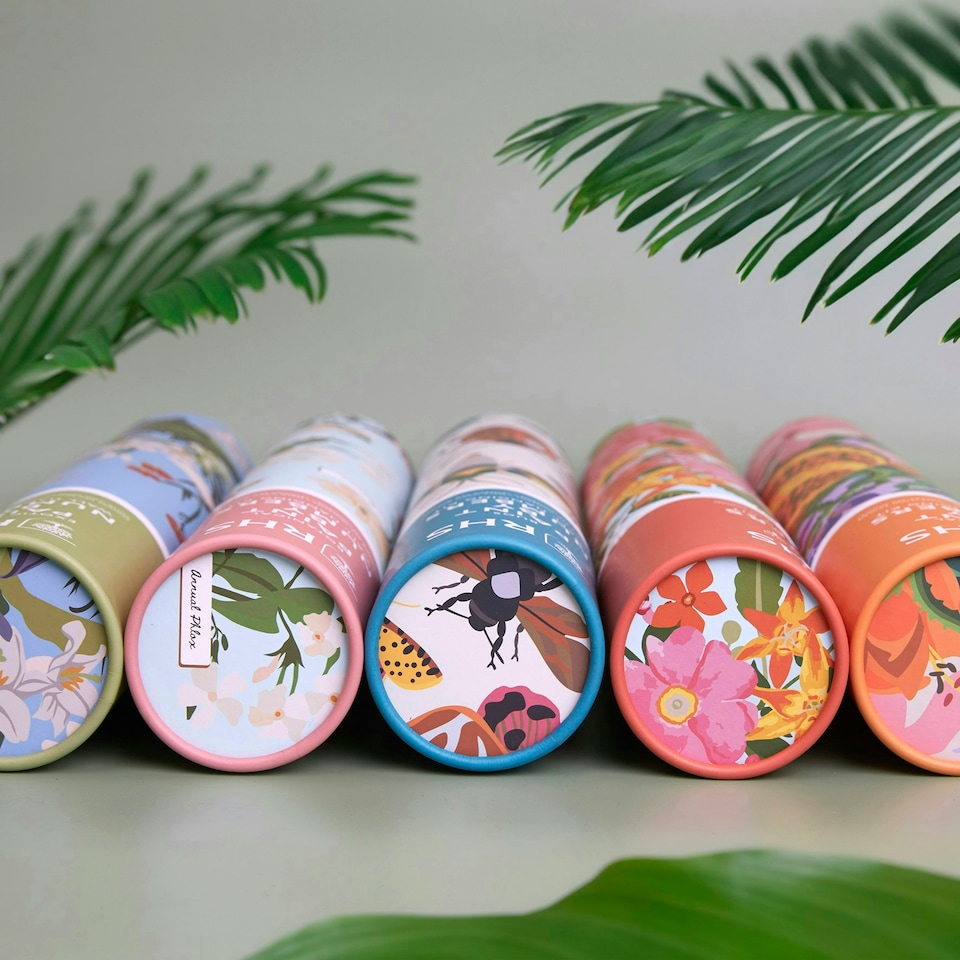 image 1 of RHS Paint by Numbers Kit, Bug Study, Multicoloured, 400 x 500mm
