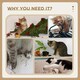 image 6 of PawHut Small Cat Tree with Scratching Post Bed Toy for Indoor Cats, Grey
