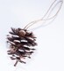 image 1 of St Helens White Tipped Hanging Pinecone - Set Of 6