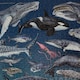 image 4 of The Ocean 1000 Piece Jigsaw Puzzle