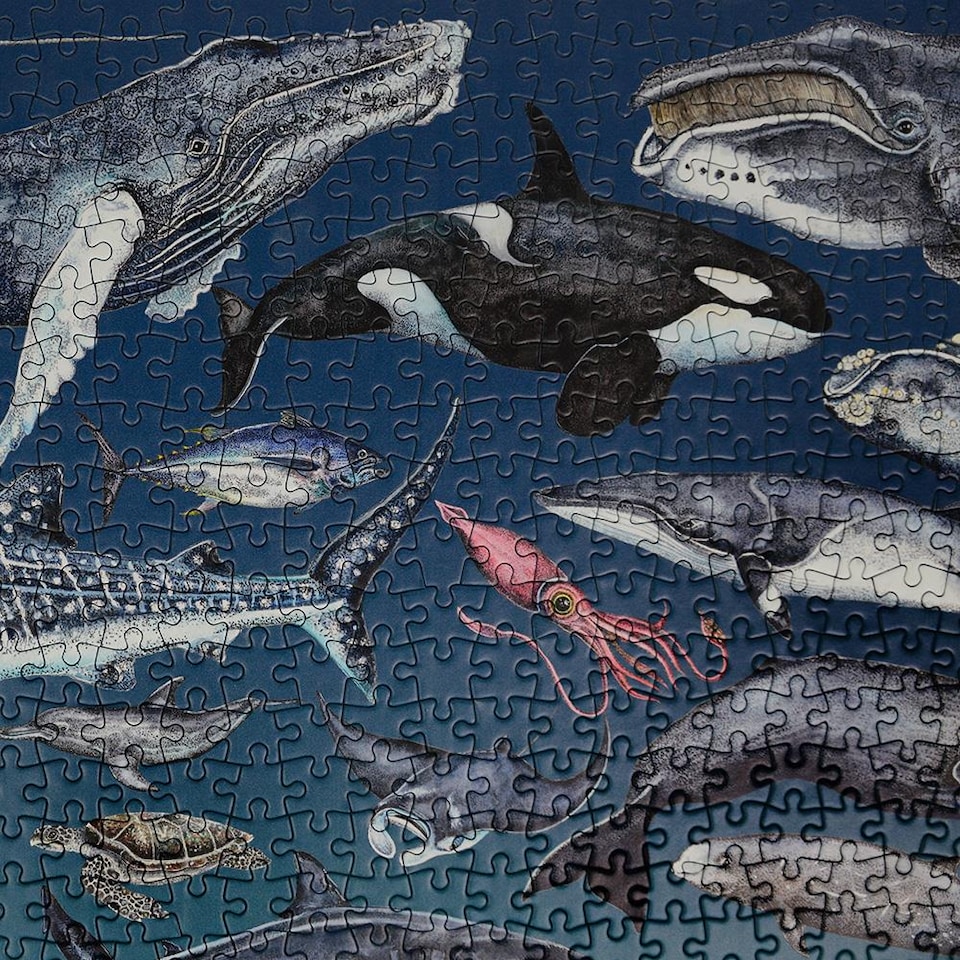 image 1 of The Ocean 1000 Piece Jigsaw Puzzle