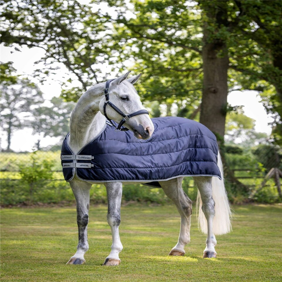 image 1 of LeMieux Rug Liner 100g Blue | 6ft 0
