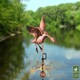 image 2 of Cottage Landing Duck Copper Weathervane - Quality Wind Vane - H63 x W30 x L40 cm