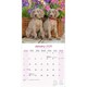 image 3 of Weimaraner 2026 Calendar | Square Wall Calendar | Dog Breed Gift | Plastic Free Packaging | by Avonside Publishing