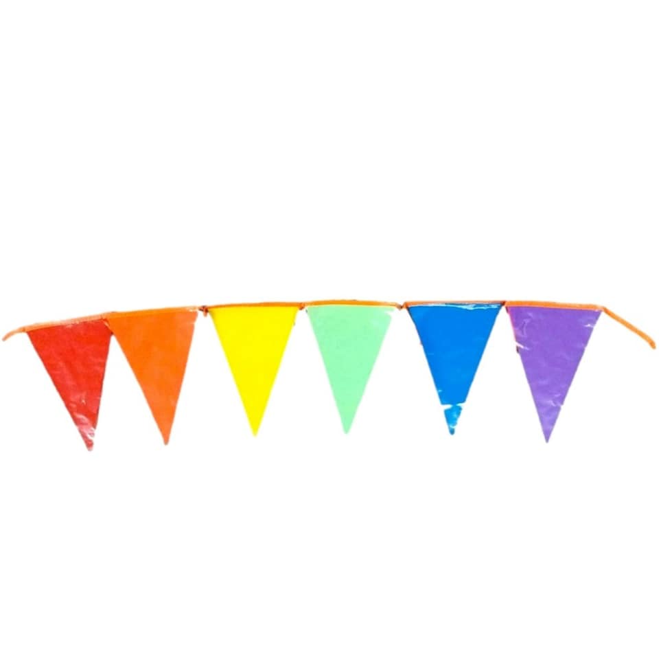image 1 of Multi Colour Party Bunting with Orange String 10m with 20 Pennants