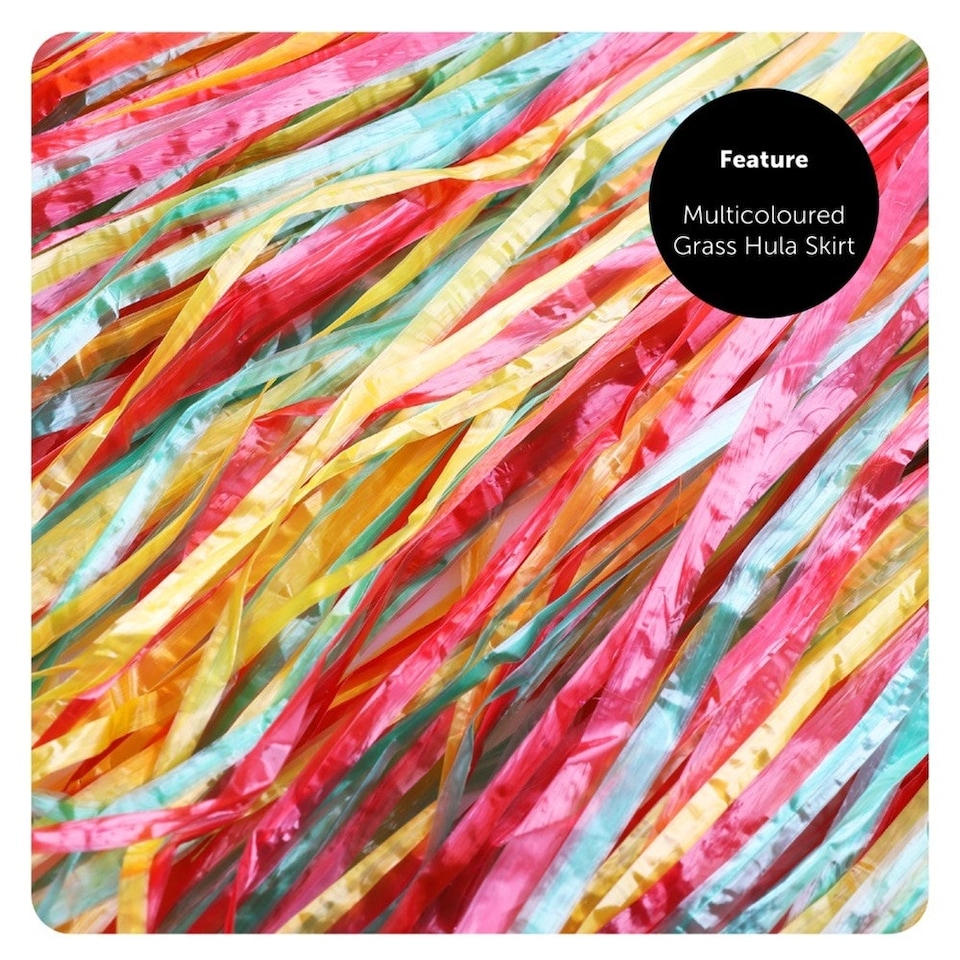 image 1 of Rainbow Technicoloured Dreamcoat Multi | M