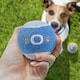 image 2 of Pre-Personalised Dog Ball Gift Pack 2pcs Blue O
