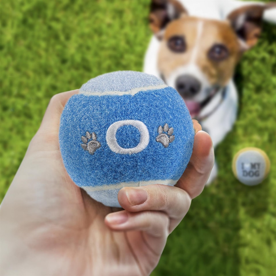 image 1 of Pre-Personalised Dog Ball Gift Pack 2pcs Blue O