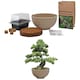 image 3 of Pronto Seed Bonsai Grow Your Own Bonsai Kit - Pine Tree Starter Set in Plastic Pot