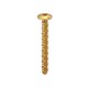 image 1 of Thunderbolt All-Purpose Anchors Pan Head ZYP - M6 x 50 - Box of 100 | Gold | M6 | 100