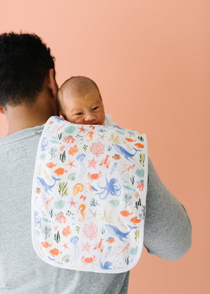 image 1 of Copper Pearl Premium Burp Cloths Nautical 3Pk