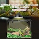 image 8 of PawHut Glass Reptile Terrarium Habitats for Lizards, Frogs, Snake 50 x 30 x 35cm