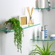 image 5 of Harbour Housewares Rounded Floating Glass Shelf - 50cm - Metallic Brackets - Bathroom Shower Storage Vanity Display Unit Shelf | Silver | Chrome | 6