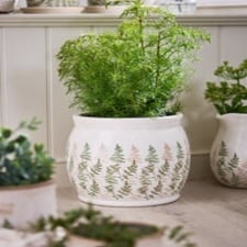 Varen Large Fern Plant Pot White