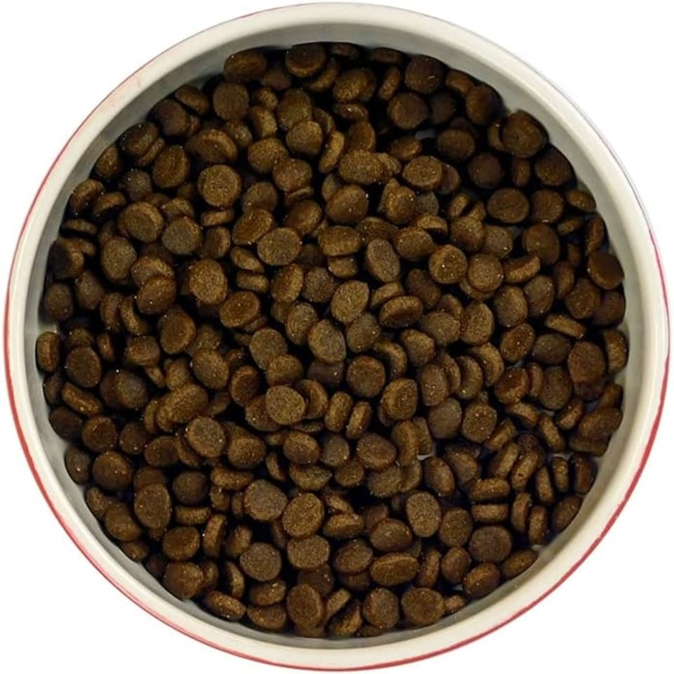 image 1 of Meowing Heads So-fish-ticated Salmon 1.5kg x 1