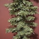 image 5 of 3 Pack: 2.7m (9ft) x 20cm Canadian Pine Christmas Garland Plain Green