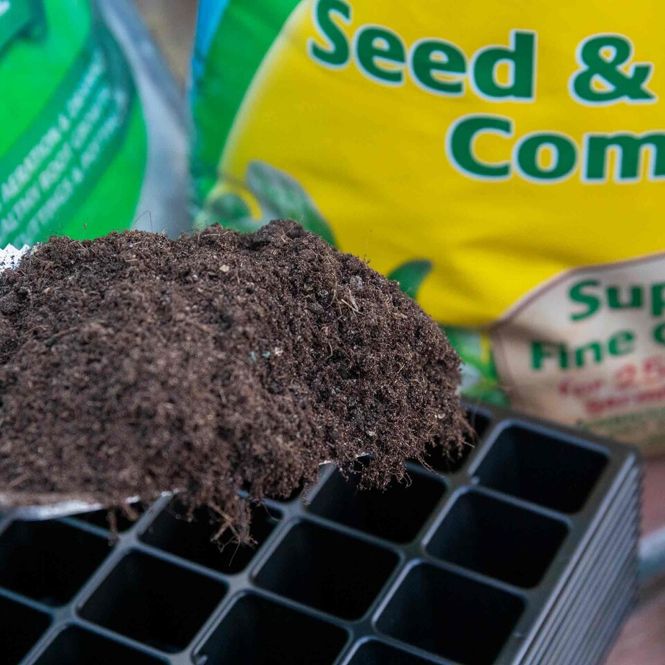 image 1 of Marshalls Garden 12-Pack 24-Cell Black Seed Trays