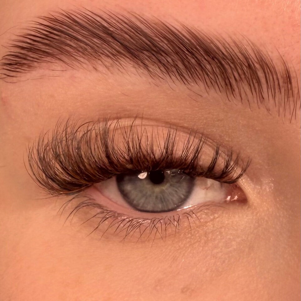 image 1 of S.T.F.U. in Cocoa Ganche Super Pre-Glued Lashes Duo Length 14-16mm