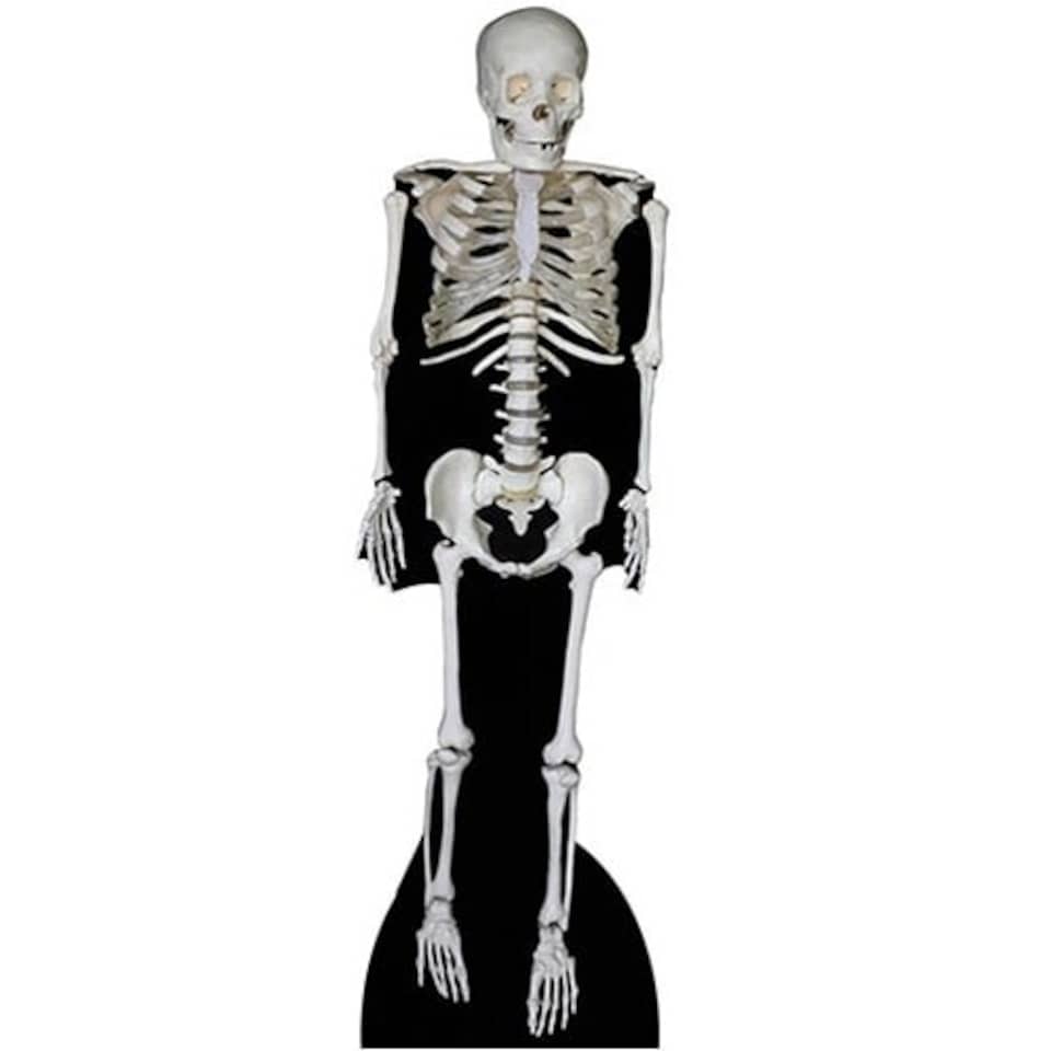 Skeleton Halloween Lifesize Cardboard Cutout 189cm