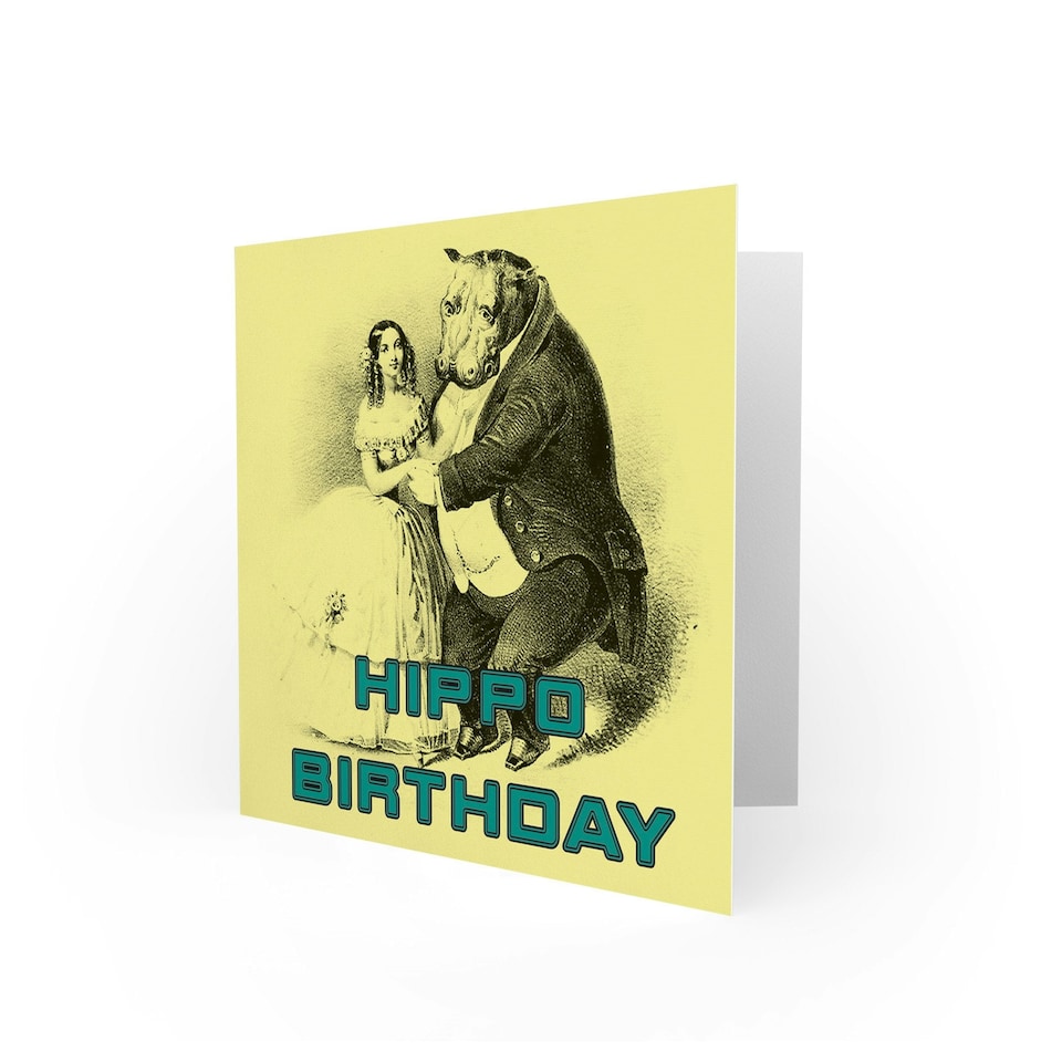 image 1 of Hippo and Woman Couple Humour Fun Weird Vintage Birthday Card